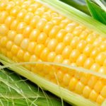 Польза и вред кукурузы для здоровья — диеты