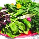 КАК ЗАПАСТИСЬ АРОМАТНОЙ ЗЕЛЕНЬЮ НА ЗИМУ.
— салаты