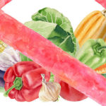 Худеем без овощей: принципы парадоксальной диеты — диеты