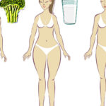 Бельгийская диета. Супер-меню для каждого типа фигуры — диеты