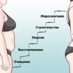 Диета «Лесенка»: подробное меню на 5 и 7 дней