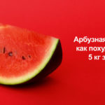 Арбузная диета: как похудеть на 5 кг за месяц (видео) — диеты