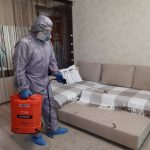 Уничтожение Блох Надежно и Навсегда с компанией Марафет