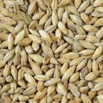 Анализ сертификатов качества солода: как не прогадать с выбором поставщика