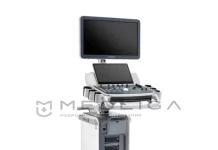 Методы ультразвуковой диагностики в различных отраслях медицины: как готовятся к исследованию брюшной полости