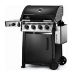 Газовый гриль: плюсы, типы