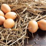 Как выбрать фермерские яйца: советы от экспертов