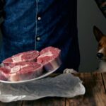 Мясо в питании собак: польза, нормы и рекомендации