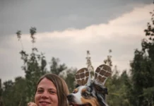 Особенности дрессировки собак: как найти подход к питомцу